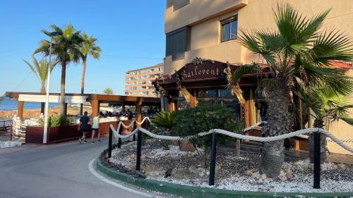a building with palm trees in front of a beach at Apartament PREMIUM in Torrevieja