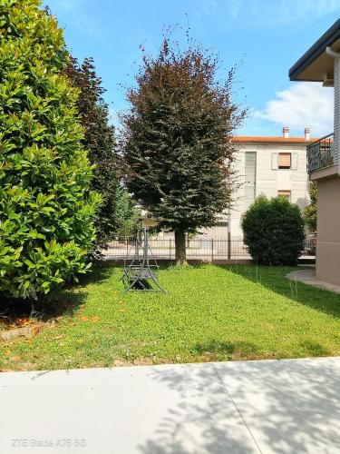 a tree in the middle of a yard at wagner 11 in Faenza