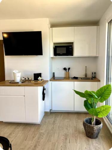 une cuisine avec des armoires blanches et une plante en pot dans l'établissement Rooftop Privé Plein Soleil Mer Plage Port, à Bandol