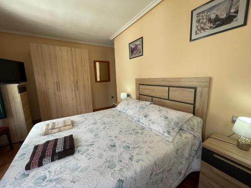 a bedroom with a bed and a television in it at La nueva Covadonguina in Cangas de Onís