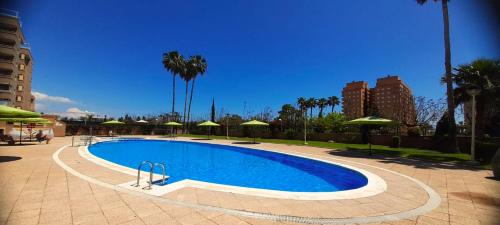 ein großer Pool mit Sonnenschirmen und Palmen in der Unterkunft Costa Caribe II Nº 1028 in Oropesa del Mar
