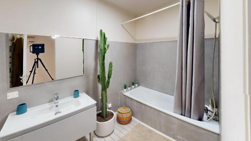 La salle de bains est pourvue d'un lavabo et d'un cactus. dans l'établissement Loft d exception Hyper-centre Albi UNeSCO, à Albi