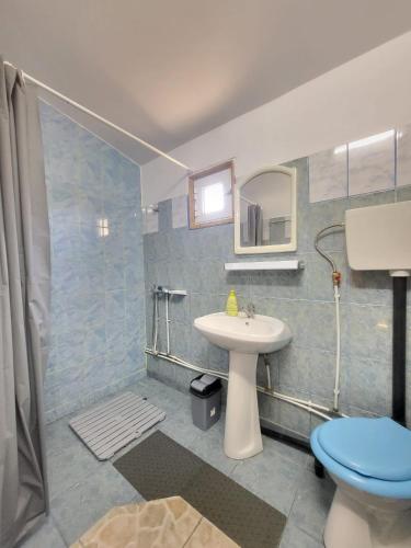 a bathroom with a sink and a toilet at Casa Ramona Sulina in Sulina