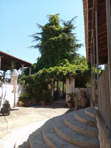 Κήπος έξω από το Accomodation Villa Florio Parghelia