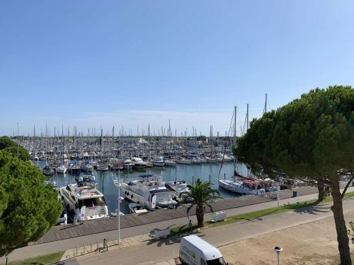 Bel appartement 2 pièces + cabine avec terrasse vue port - FR-1-731-126