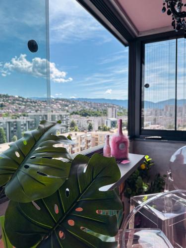 a room with a large window with a plant at Golden Fish in Jungle Jacuzzi Sauna Sarajevo in Sarajevo