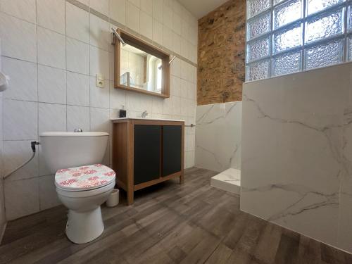 une salle de bain avec toilettes, lavabo et miroir dans l'établissement Centre ville, grand T3 avec balcon, à Narbonne