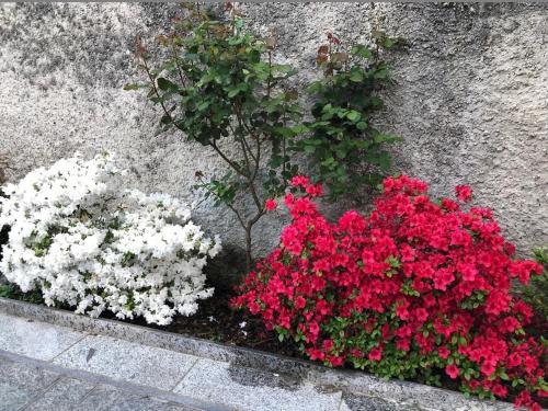 Un jardín fuera de Appartamento Preglia Piemonte