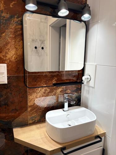 a bathroom with a white sink and a mirror at Goździkowy Apartament in Frombork