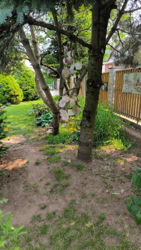 a tree in a yard next to a fence at Pirtelė Rykštelė in Karmėlava