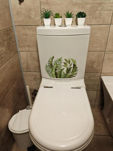a toilet with plants on top of it in a bathroom at Miklós Lak in Miercurea-Ciuc