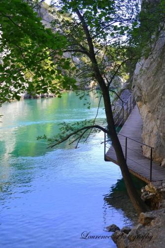 un pont en bois sur une rivière avec un arbre dans l'établissement MOBILHOME 4 places, à Sainte-Croix-de-Verdon