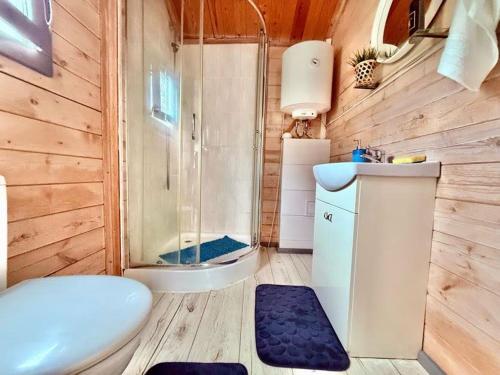 ein Badezimmer mit Dusche, Toilette und Waschbecken in der Unterkunft Dębowy Zakątek in Olsztyn