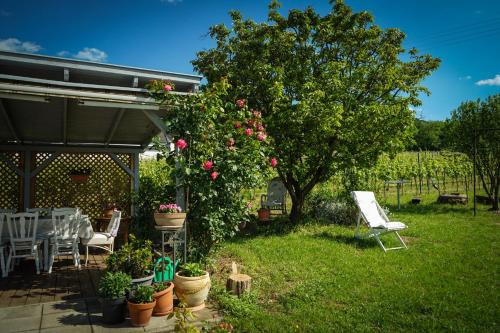 a garden with a table and chairs and a tree at Pinot Gris House in Káptalantóti