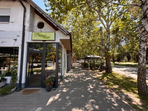 Fotografie z fotogalerie ubytování Black and Ginger Residence v destinaci Zrenjanin