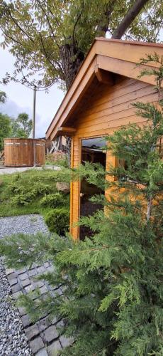 Zahrada ubytování Gelei Guesthouse
