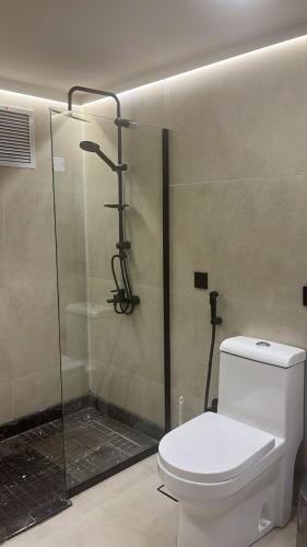 a bathroom with a toilet and a glass shower at Al Hyatt Jeddah Continental Hotel in Jeddah