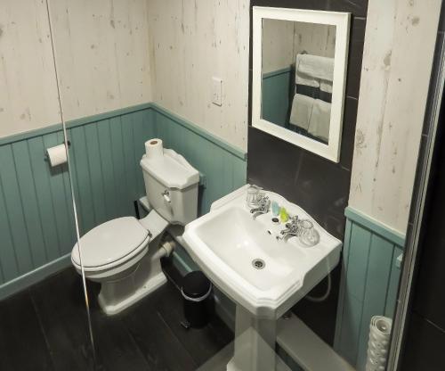 a bathroom with a white toilet and a sink at South Lawn Hotel in Lymington