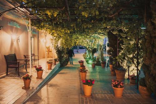 a person walking down a hallway with potted plants at Hotel Villa Sevasti in Katerini