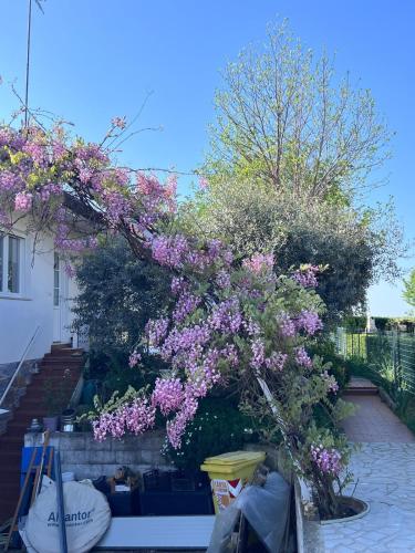 a tree with purple flowers on the side of a house at PM 15 Via Paolo Diacono in Buttrio