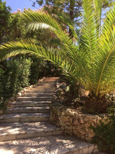 Quiet Private Garden Suite with Pool