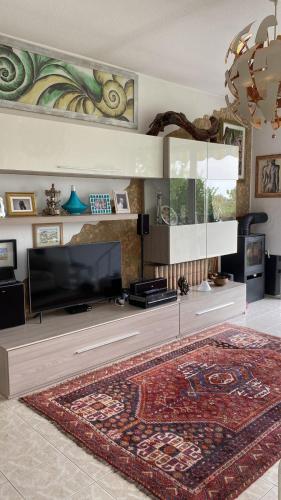 a living room with a flat screen tv and a rug at PM 15 Via Paolo Diacono in Buttrio