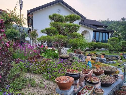 a garden with many pots of plants and flowers at Sarah's Small Garden in Cheonan
