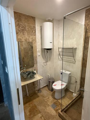 a small bathroom with a toilet and a sink at Pensiunea Raya in Dubova