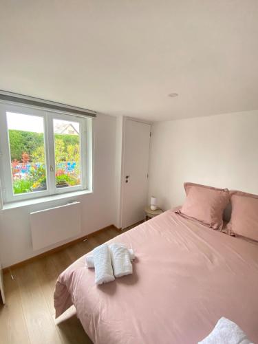 - une chambre avec un lit rose et une fenêtre dans l'établissement Appartement cosy avec jardin, à Herrlisheim-près-Colmar