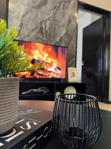 a living room with a tv and a table with a plant at Lumi's Nest in Johannesburg