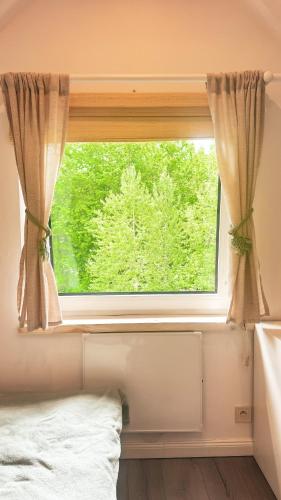 a window in a room with a bed in front of it at Chatka Biesczadersko in Lutowiska