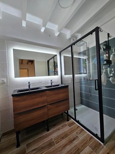 une salle de bain avec un lavabo et une douche dans l'établissement Maison spacieuse à Floirac avec jardin et terrasse, à Floirac