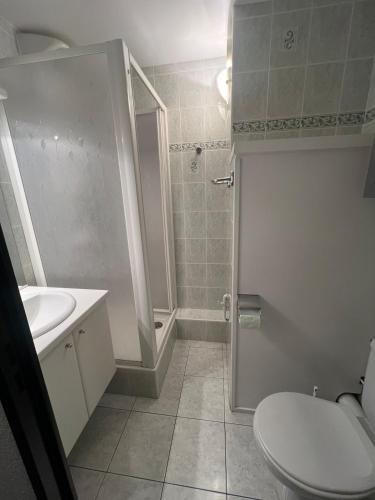 une salle de bain avec toilettes, lavabo et douche dans l'établissement Studio 4-6 personnes à proximité de la plage, à Argelès-sur-Mer