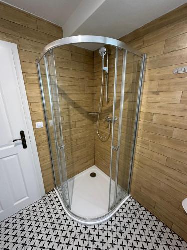 a shower with a glass enclosure in a bathroom at Vila Fráňa apartmán 3 in České Budějovice