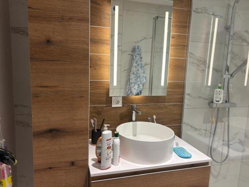 une salle de bain avec un lavabo et un miroir dans l'établissement Le Furon, à Prénatier