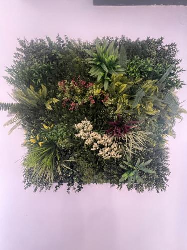 a hanging planter with plants on a wall at 5 Star Residence - Stylish Modern apartments in St Julians in St Julian's