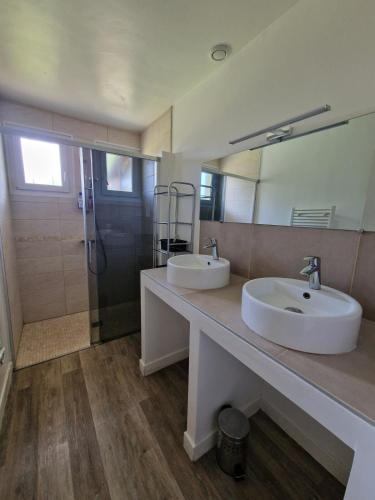 a bathroom with two sinks and a mirror and a shower at Spacious and modern home 8 guests à Juvignac in Juvignac