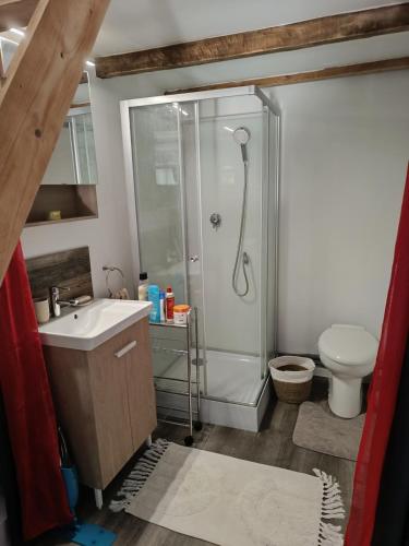 une salle de bain avec une douche, un lavabo et des toilettes dans l'établissement Studio indépendant au coeur du var, à Sainte-Anastasie-sur-Issole
