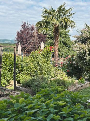 a garden with a palm tree in the background at Maison de Pagneux in Lachassagne