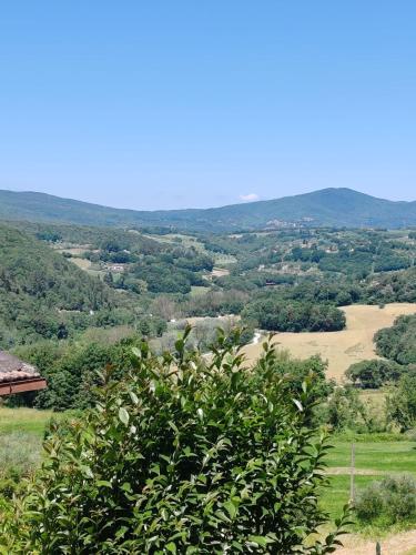 a view from the top of a hill with a tree at La Casina in Amelia