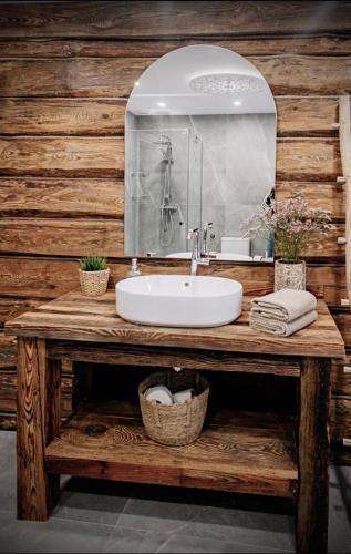 a bathroom with a sink and a mirror at Chlewiska nad Świnką in Narol