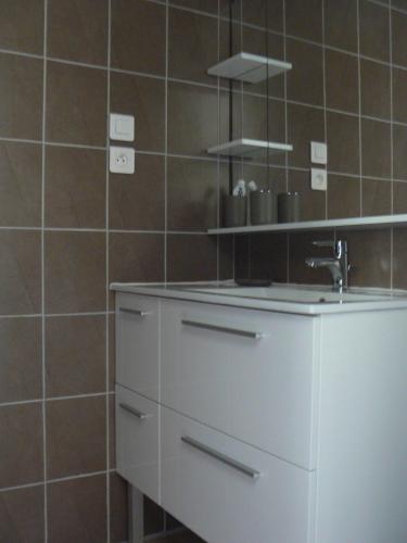 La salle de bains est pourvue d'un lavabo et d'un comptoir avec un robinet. dans l'établissement La Virginie, à Rosières