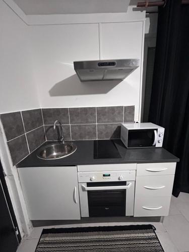 une petite cuisine avec un évier et un micro-ondes dans l'établissement Appartement rez-de-chaussée, centre-ville, à Briatexte