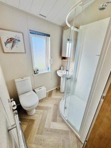 a bathroom with a toilet and a shower at The Pink Lady in Walton-on-the-Naze