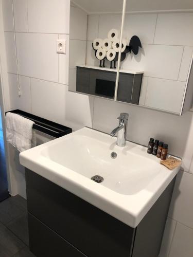 a bathroom with a white sink and a mirror at Schaapskooi in Voorthuizen