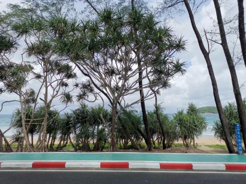 a group of trees on the side of a road at 8 Floor - Mountain view Studio room at TBHR near Kata beach in Kata Beach