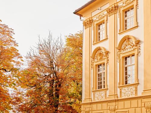 a building with trees in front of it at TAUROA Hofwirt in Seckau