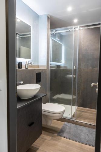 a bathroom with a toilet and a sink and a shower at Harzerfüllt in Hahnenklee in Hahnenklee-Bockswiese