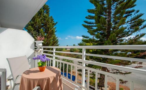 Φωτογραφία από το άλμπουμ του Ikaros Hotel Zante στον Λαγανά