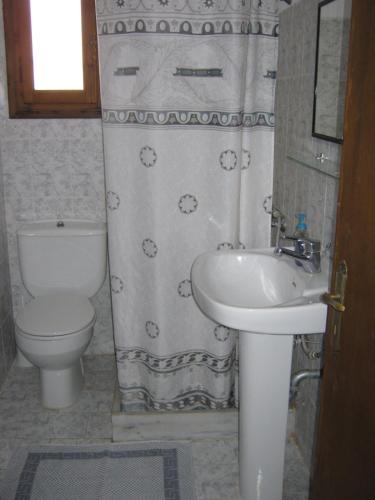 a bathroom with a toilet and a sink at Odyssey Hotel Apartments in Karpathos